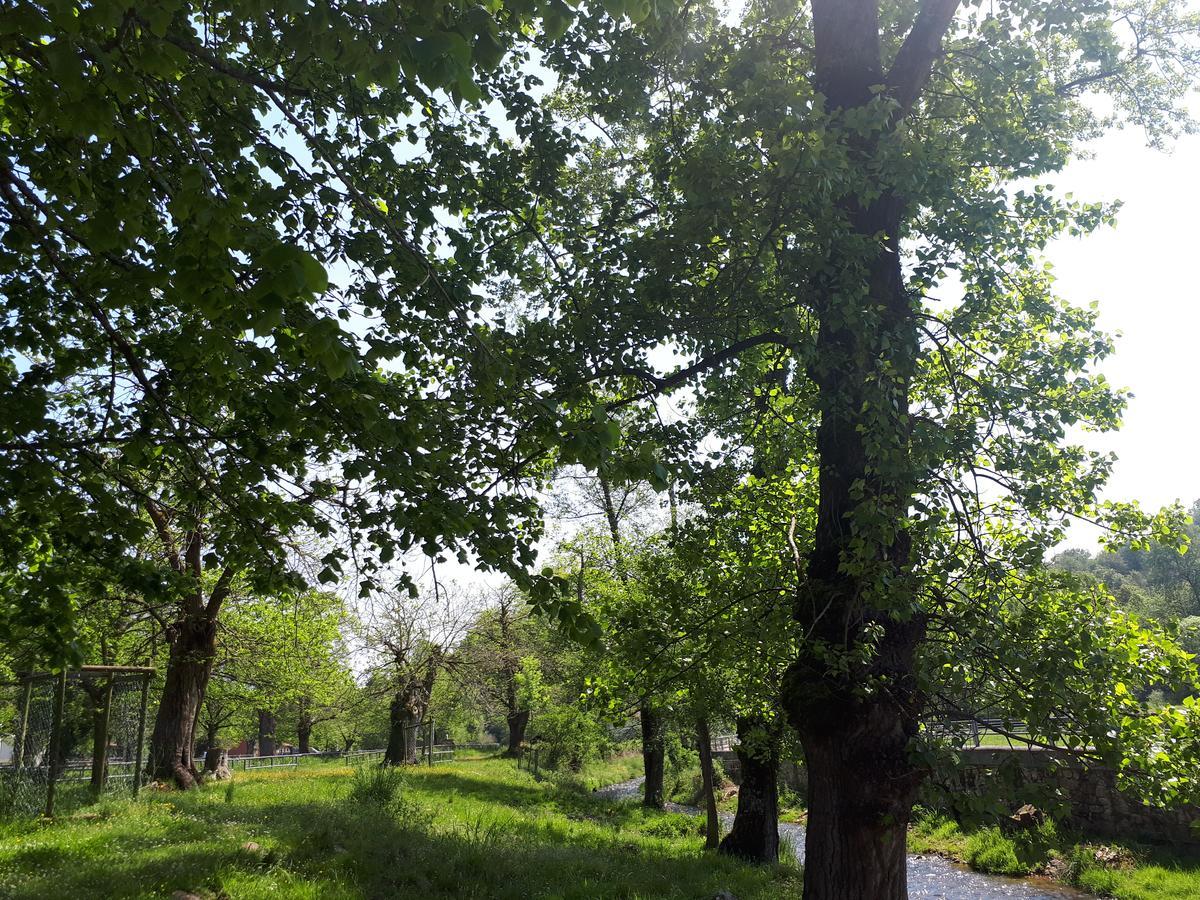 Hotel Rural Entremontes Onís Dış mekan fotoğraf